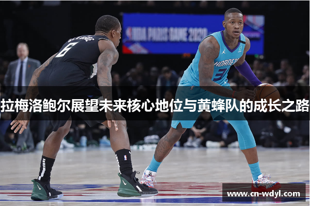 拉梅洛鲍尔展望未来核心地位与黄蜂队的成长之路 拉梅洛鲍尔展望未来核心地位与黄蜂队的成长之路