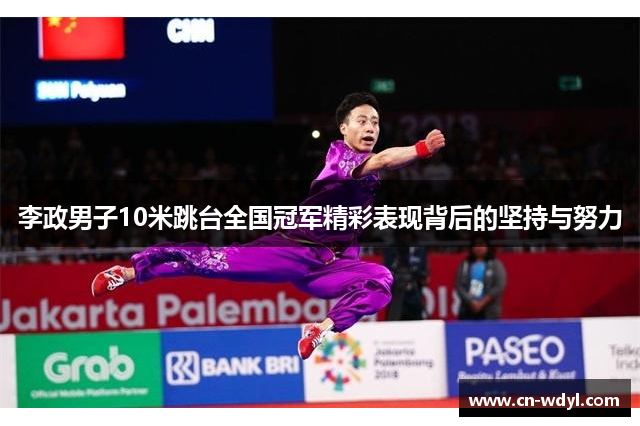 李政男子10米跳台全国冠军精彩表现背后的坚持与努力 李政男子10米跳台全国冠军精彩表现背后的坚持与努力