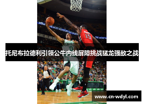 托尼布拉德利引领公牛内线屏障挑战猛龙强敌之战 托尼布拉德利引领公牛内线屏障挑战猛龙强敌之战