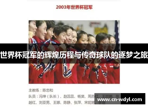 世界杯冠军的辉煌历程与传奇球队的逐梦之旅