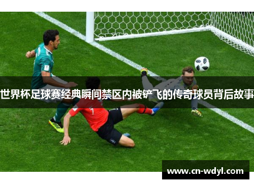 世界杯足球赛经典瞬间禁区内被铲飞的传奇球员背后故事 世界杯足球赛经典瞬间禁区内被铲飞的传奇球员背后故事