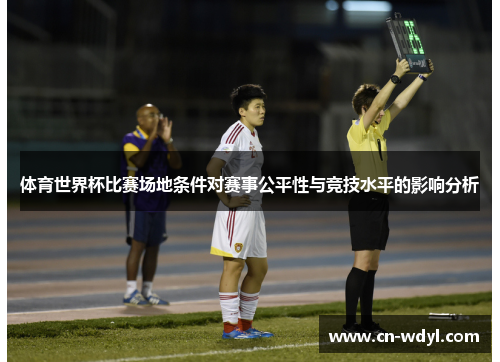 体育世界杯比赛场地条件对赛事公平性与竞技水平的影响分析 体育世界杯比赛场地条件对赛事公平性与竞技水平的影响分析