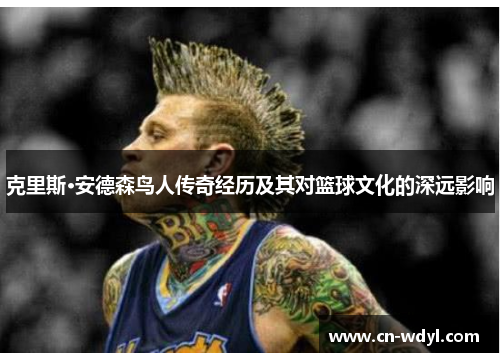 克里斯·安德森鸟人传奇经历及其对篮球文化的深远影响 克里斯·安德森鸟人传奇经历及其对篮球文化的深远影响