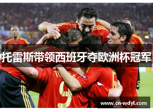托雷斯带领西班牙夺欧洲杯冠军 托雷斯带领西班牙夺欧洲杯冠军
