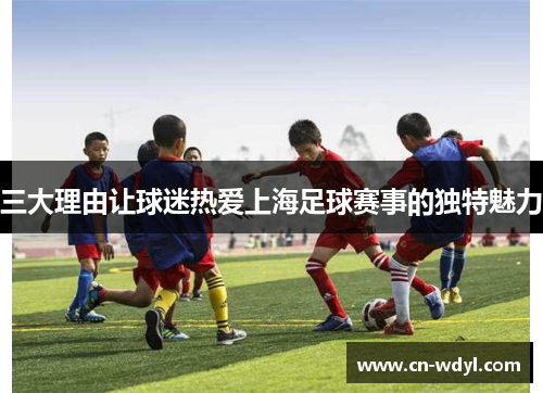 三大理由让球迷热爱上海足球赛事的独特魅力 三大理由让球迷热爱上海足球赛事的独特魅力