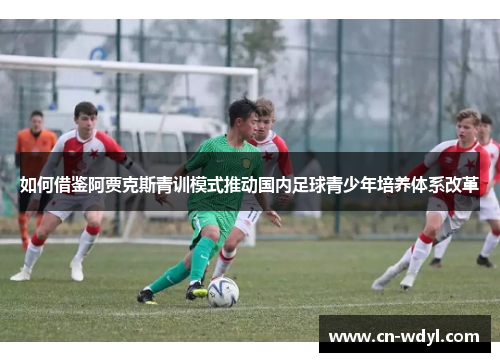 如何借鉴阿贾克斯青训模式推动国内足球青少年培养体系改革