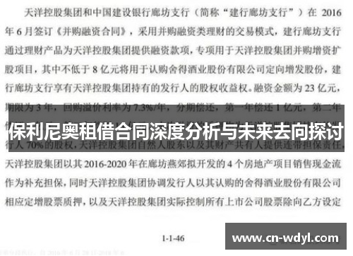 保利尼奥租借合同深度分析与未来去向探讨 保利尼奥租借合同深度分析与未来去向探讨