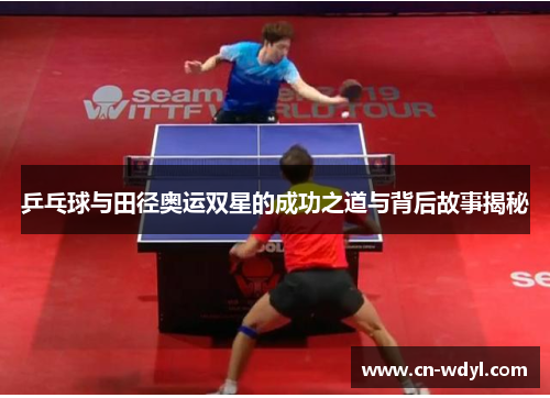 乒乓球与田径奥运双星的成功之道与背后故事揭秘 乒乓球与田径奥运双星的成功之道与背后故事揭秘