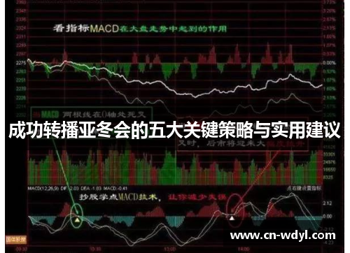 成功转播亚冬会的五大关键策略与实用建议 成功转播亚冬会的五大关键策略与实用建议