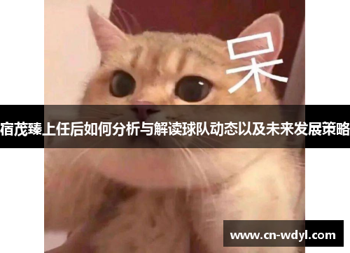 宿茂臻上任后如何分析与解读球队动态以及未来发展策略