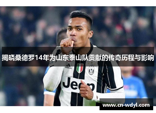 揭晓桑德罗14年为山东泰山队贡献的传奇历程与影响