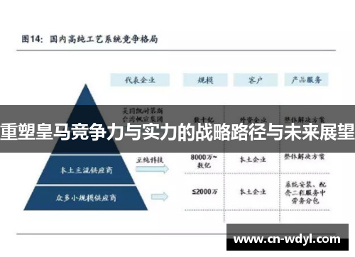 重塑皇马竞争力与实力的战略路径与未来展望 重塑皇马竞争力与实力的战略路径与未来展望