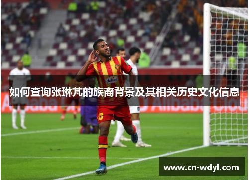 如何查询张琳芃的族裔背景及其相关历史文化信息 如何查询张琳芃的族裔背景及其相关历史文化信息