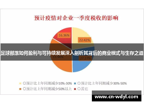 足球部落如何盈利与可持续发展深入剖析其背后的商业模式与生存之道