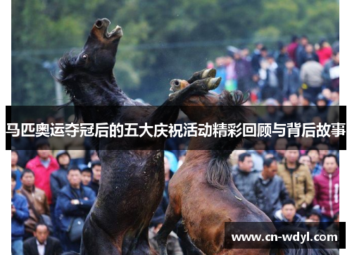 马匹奥运夺冠后的五大庆祝活动精彩回顾与背后故事 马匹奥运夺冠后的五大庆祝活动精彩回顾与背后故事
