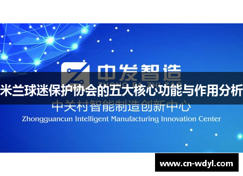 米兰球迷保护协会的五大核心功能与作用分析 米兰球迷保护协会的五大核心功能与作用分析