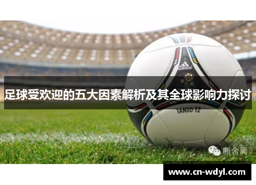 足球受欢迎的五大因素解析及其全球影响力探讨 足球受欢迎的五大因素解析及其全球影响力探讨