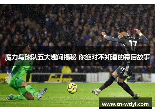 魔力鸟球队五大趣闻揭秘 你绝对不知道的幕后故事 魔力鸟球队五大趣闻揭秘 你绝对不知道的幕后故事