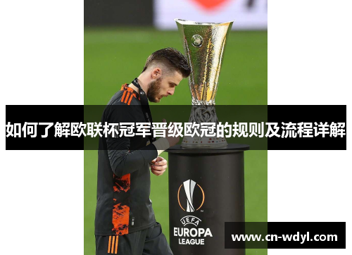 如何了解欧联杯冠军晋级欧冠的规则及流程详解 如何了解欧联杯冠军晋级欧冠的规则及流程详解