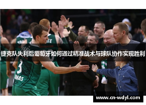 捷克队失利后葡萄牙如何通过精准战术与球队协作实现胜利 捷克队失利后葡萄牙如何通过精准战术与球队协作实现胜利