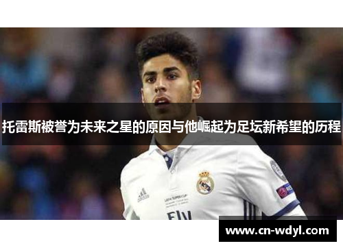 托雷斯被誉为未来之星的原因与他崛起为足坛新希望的历程 托雷斯被誉为未来之星的原因与他崛起为足坛新希望的历程