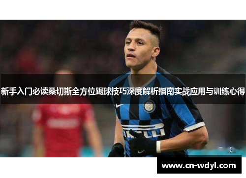 新手入门必读桑切斯全方位踢球技巧深度解析指南实战应用与训练心得 新手入门必读桑切斯全方位踢球技巧深度解析指南实战应用与训练心得