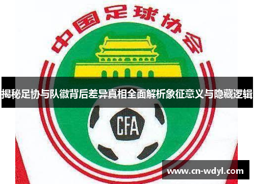 揭秘足协与队徽背后差异真相全面解析象征意义与隐藏逻辑 揭秘足协与队徽背后差异真相全面解析象征意义与隐藏逻辑