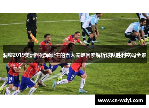 洞察2019美洲杯冠军诞生的五大关键因素解析球队胜利密码全景 洞察2019美洲杯冠军诞生的五大关键因素解析球队胜利密码全景