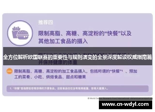 全方位解析欧国联赛的重要性与规则演变的全景深度解读权威指南篇 全方位解析欧国联赛的重要性与规则演变的全景深度解读权威指南篇